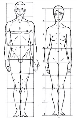 Canon de proporcionalidad
